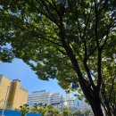 2023. 10. 16 ~ 10. 22 주간일기) 10월 3주 포토일기 / 연차 / 부산백병원 외래 진료일 / 겨울철 간식...