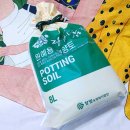자람주머니 이미지