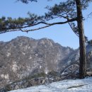 청산 - 수성구 범어천로 155-23 | 청산