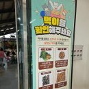 액션하우스 | 익산 아이랑 가볼만한곳｜액션하우스 동물체험 솔직후기 (명절 초2·18개월 방문)