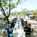 수지면 양촌마을 이미지