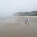 (안면도)출사-문경시농업기술센터 이슬 동호회 이미지