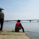 소금 - 24597 | 소금