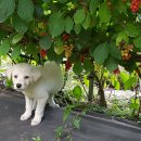 진들농장 이미지