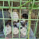 휴네스트펜션 이미지