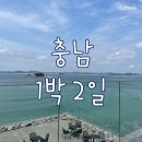 충남 1박 2일 / 애견 동반 / 안면도 / 보령 / 태안 / 충남 여행 코스