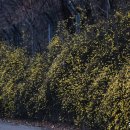 성남시립식물원 이미지