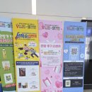 해바라기 토크 콘서트-행복을 주는 사람들 | 2026 제10 회 비건페스타&amp;그린페스타 후기