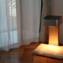 레이 펫 이미지