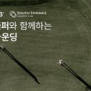 도즈 마이데일리