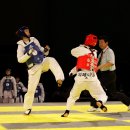 우주태권도체육관 이미지