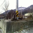 강릉의료원(버스정류장) 이미지