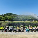 [아이비반] 숲체험 - 🌳태화강 십리대숲에 다녀왔어요 이미지