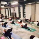 부산레포츠 이미지