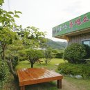 낙안 흑염소 네이버블로그