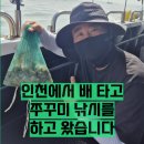 쭈꾸미박사