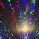 지니라인 이미지