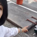 농수산물시장 버스승강장 이미지