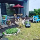 평화로 3-1 버스정류장 이미지