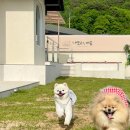 태정펜션 이미지