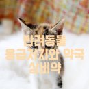 우리동물약품 이미지