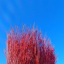 영월Y파크(술샘박물관) 이미지