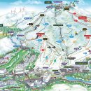2026년01월18일(일요일) [월정사 전나무 숲길&발왕산 기...
