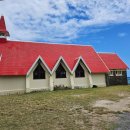 신조농장 | [모리셔스 신혼여행 3일차] 노트르담 성당 , 팜플무스 식물원 , 럼 팩토리 후기