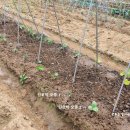 와부농업협동조합경제사업소 이미지