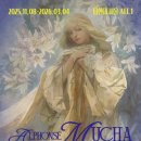 빛과 사진 이미지