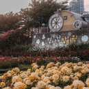 형산강 장미원 | 포항 형산강 장미원 작년보다 더 예뻐진 5월 장미 스팟