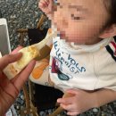 금산청소년수련원 | 충남 금산 오토캠핑장, 금산청소년수련원캠핑장에서 동계캠핑을💙(풋살장도 있음) A구역 5번 사이트 후기!!