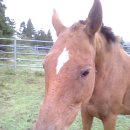 육이목장 이미지