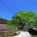 갈모봉산림욕장 이미지