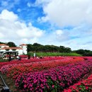 애코랜드 이미지