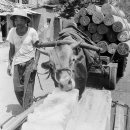 냉장고가 드물던 시절… 아이스케키와 얼음 파동을 겪었던 그 시절 여름, 1960~1970년대 공장 얼음 시대 풍경 이미지