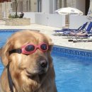 스테이덕산 이미지