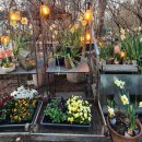 주암동농장 | [경기/과천] 마이알레(My Allee) 빌리지, 인테리어 소품 쇼핑부터 식물 선물까지 완벽한 힐링 후기