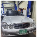 오토젠 Autozen 이미지