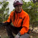 아보리스트 1급 자격증 과정 이미지