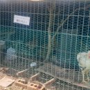 병찬농장 이미지