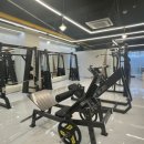 모션업피티 이미지