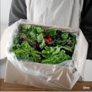 주은농장 이미지