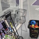 지범로 | 대구실내테니스 콩테니스 쌩초보 레슨 후기 (feat. 2026 봄 운동 추천)