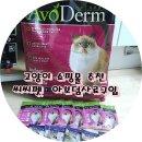 씨씨펫(주) 이미지