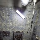 가재 우림필유 이미지