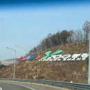 강릉] 1박2일 먹고 보고 알찬 코스!(스키점프대, 1,000년 된 은행나무, 짬뽕맛집, 빵지순례, 중앙시장)
