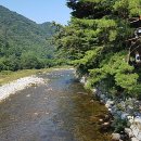 광원리 월둔교 이미지