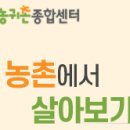 자양면주민센터 | 2021년 농촌에서 살아보기 참가자 모집 안내