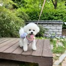 순독살롱 이미지